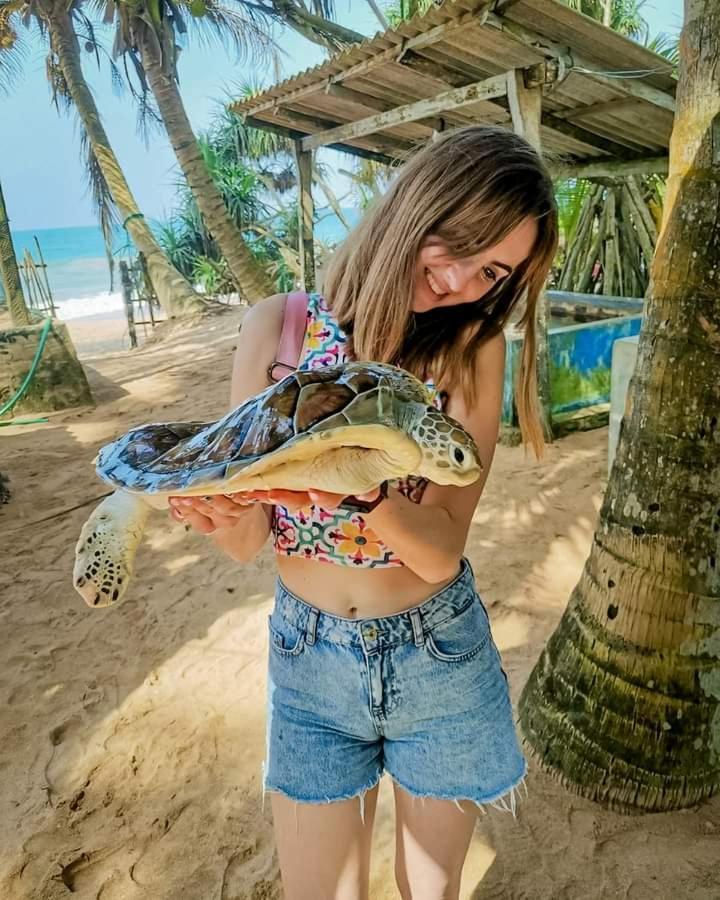 Ceylon Serenity Villas Beruwala Luaran gambar